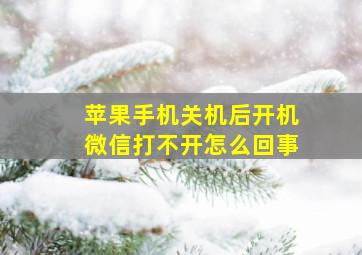 苹果手机关机后开机微信打不开怎么回事