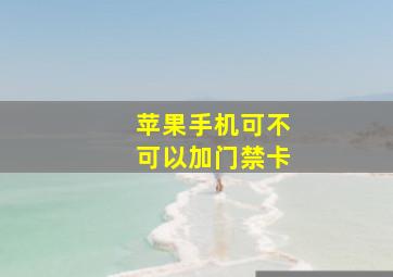 苹果手机可不可以加门禁卡