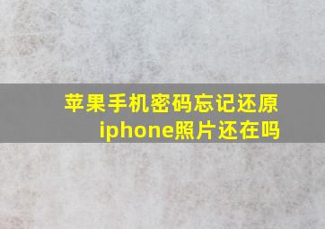 苹果手机密码忘记还原iphone照片还在吗