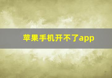 苹果手机开不了app