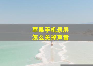 苹果手机录屏怎么关掉声音