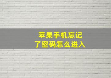 苹果手机忘记了密码怎么进入