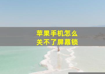 苹果手机怎么关不了屏幕锁