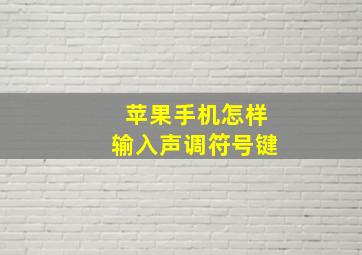 苹果手机怎样输入声调符号键