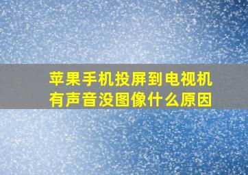 苹果手机投屏到电视机有声音没图像什么原因