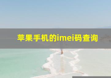 苹果手机的imei码查询