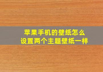 苹果手机的壁纸怎么设置两个主题壁纸一样