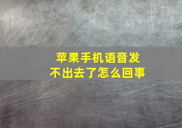 苹果手机语音发不出去了怎么回事