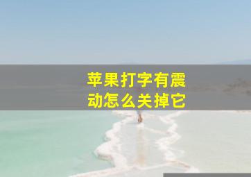 苹果打字有震动怎么关掉它