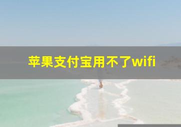 苹果支付宝用不了wifi