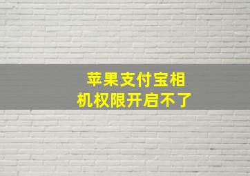 苹果支付宝相机权限开启不了