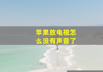 苹果放电视怎么没有声音了