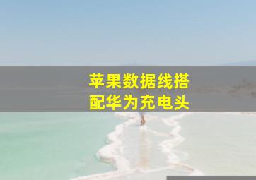 苹果数据线搭配华为充电头