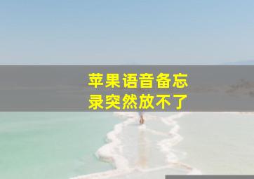 苹果语音备忘录突然放不了