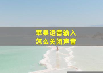 苹果语音输入怎么关闭声音