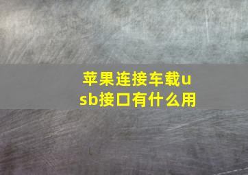 苹果连接车载usb接口有什么用