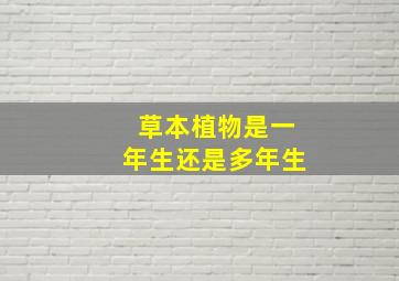 草本植物是一年生还是多年生