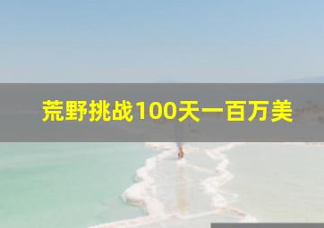 荒野挑战100天一百万美