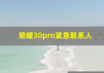 荣耀30pro紧急联系人