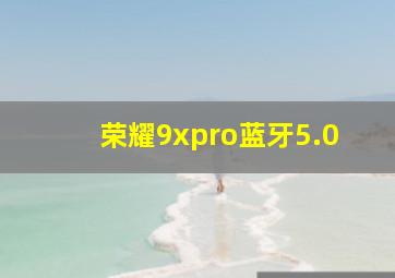 荣耀9xpro蓝牙5.0