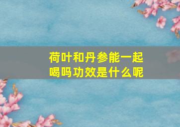 荷叶和丹参能一起喝吗功效是什么呢