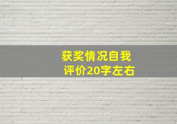 获奖情况自我评价20字左右