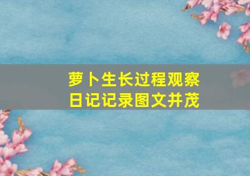 萝卜生长过程观察日记记录图文并茂