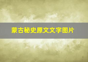 蒙古秘史原文文字图片