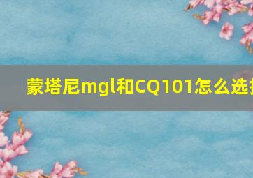 蒙塔尼mgl和CQ101怎么选择