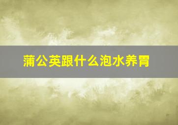 蒲公英跟什么泡水养胃