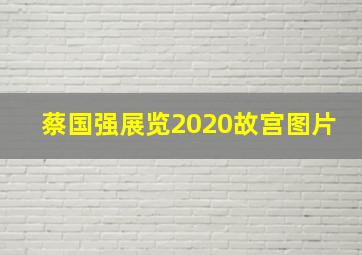 蔡国强展览2020故宫图片