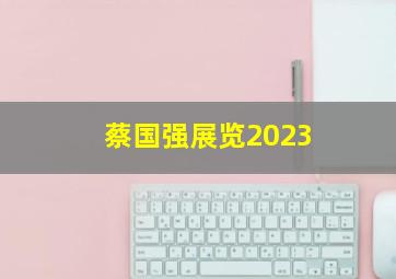 蔡国强展览2023