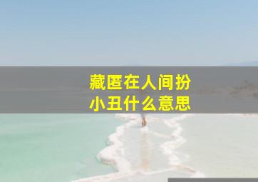 藏匿在人间扮小丑什么意思