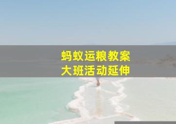 蚂蚁运粮教案大班活动延伸