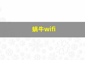 蜗牛wifi