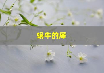 蜗牛的厣