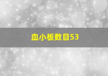 血小板数目53