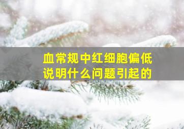 血常规中红细胞偏低说明什么问题引起的