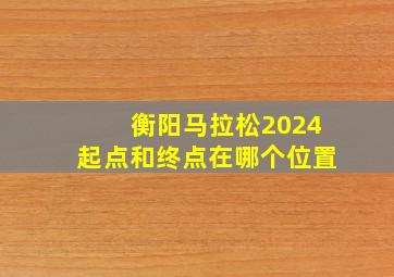 衡阳马拉松2024起点和终点在哪个位置