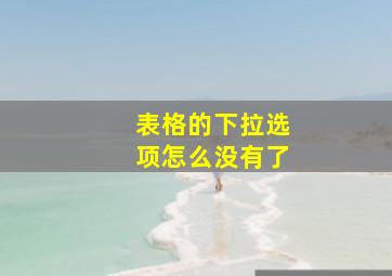 表格的下拉选项怎么没有了