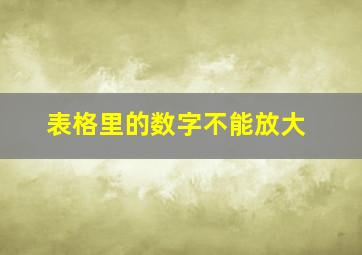 表格里的数字不能放大