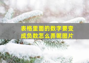 表格里面的数字要变成负数怎么弄呢图片