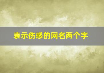 表示伤感的网名两个字