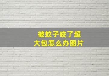 被蚊子咬了超大包怎么办图片