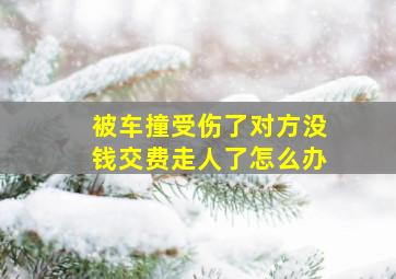 被车撞受伤了对方没钱交费走人了怎么办