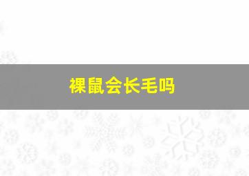 裸鼠会长毛吗