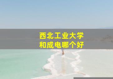 西北工业大学和成电哪个好