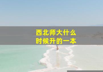 西北师大什么时候升的一本