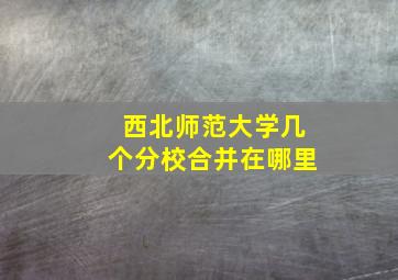 西北师范大学几个分校合并在哪里