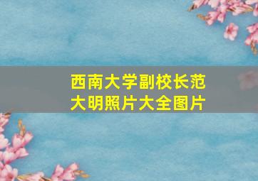 西南大学副校长范大明照片大全图片